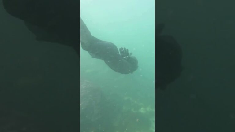 Visit Great Barrier Reef Australia Documentary Bbc #travel #fish #visit #vacation #australia